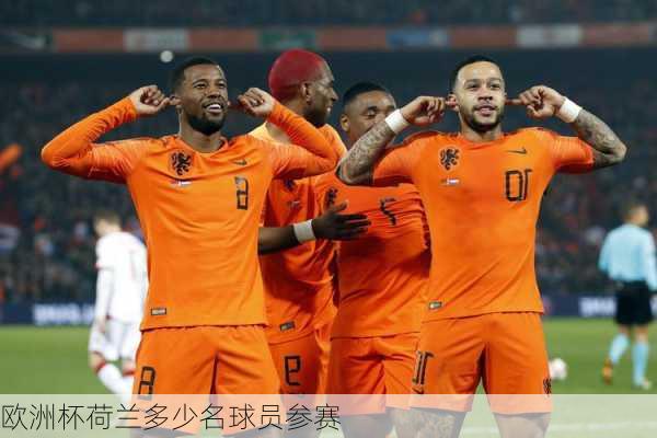 欧洲杯荷兰多少名球员参赛