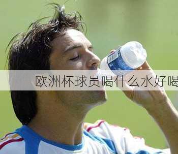 欧洲杯球员喝什么水好喝