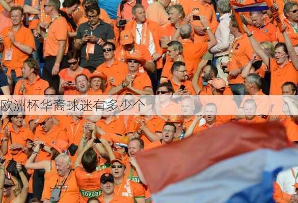 欧洲杯华裔球迷有多少个