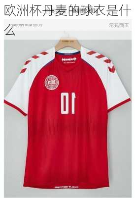 欧洲杯丹麦的球衣是什么