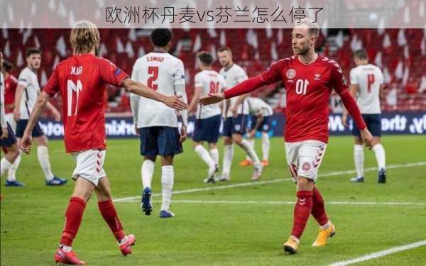 欧洲杯丹麦vs芬兰怎么停了