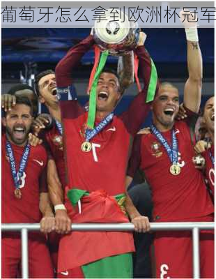 葡萄牙怎么拿到欧洲杯冠军