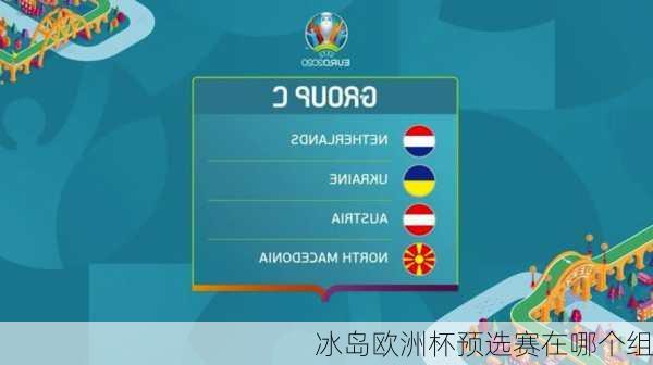 冰岛欧洲杯预选赛在哪个组