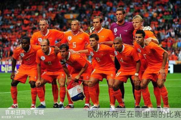 欧洲杯荷兰在哪里踢的比赛