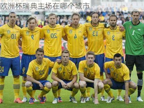 欧洲杯瑞典主场在哪个城市