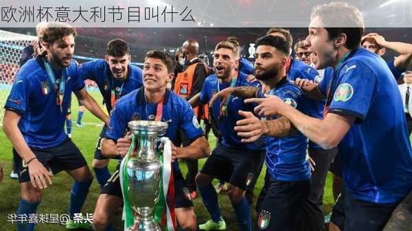 欧洲杯意大利节目叫什么